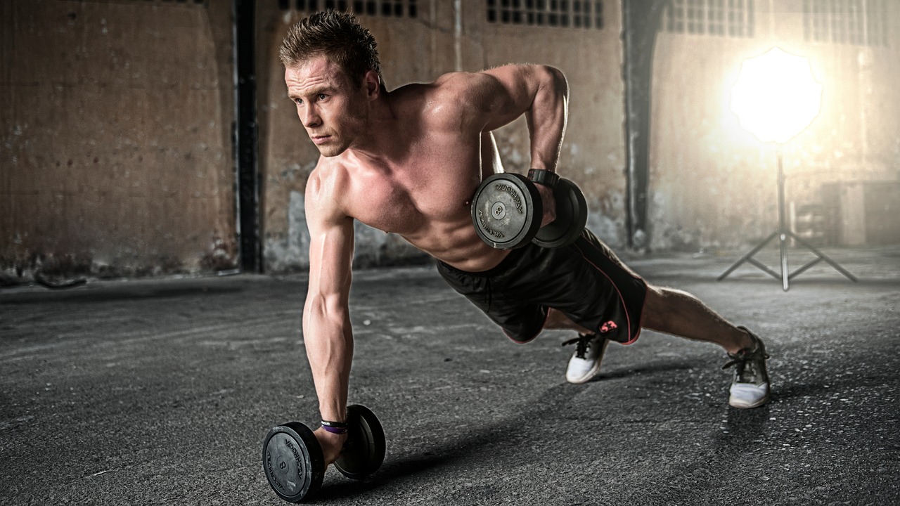 Muscariq Fitness Club collection